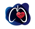 mini-logo-.png